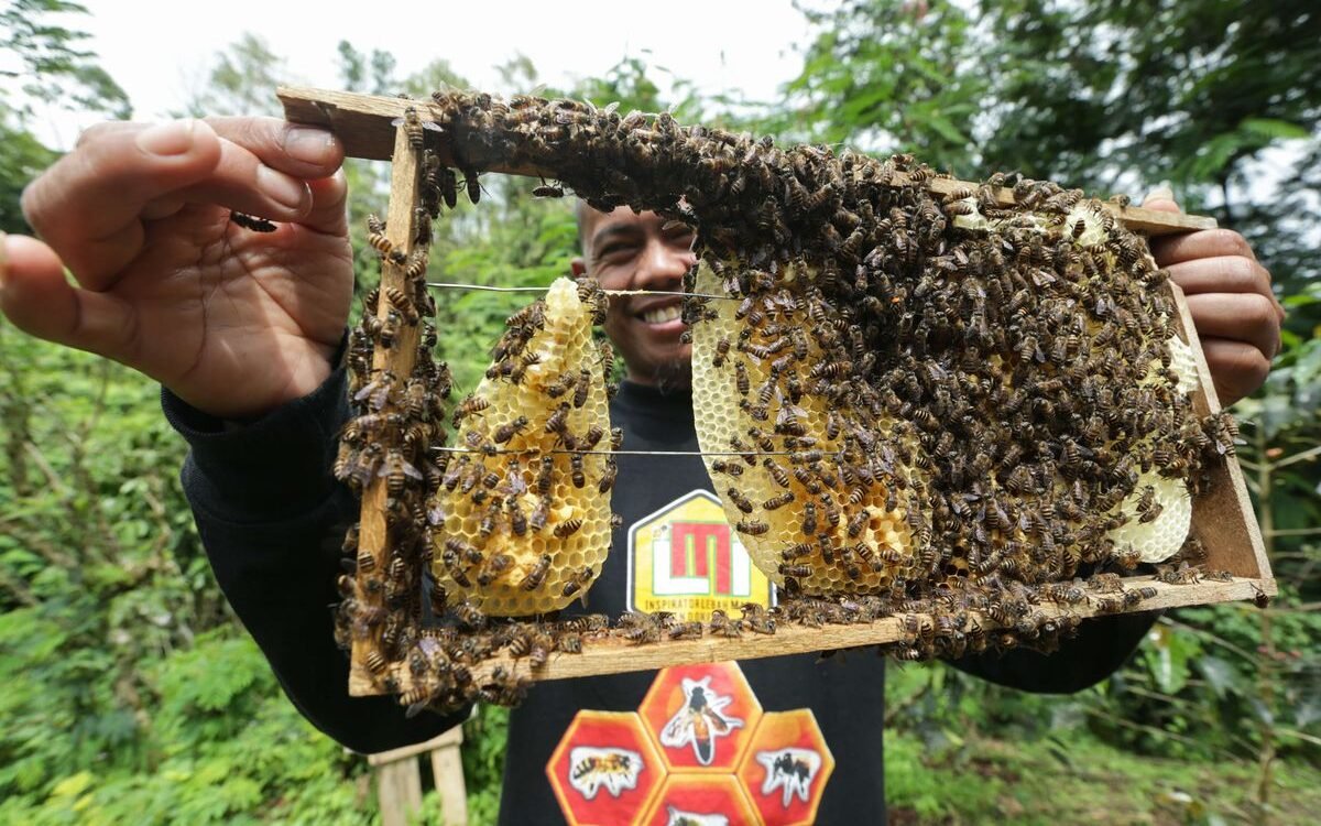 Rahasia Sukses Desa Mokong: Bagaimana ‘Madu Olat’ Menjadi Simbol Kemandirian Masyarakat